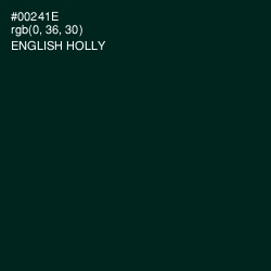 #00241E - English Holly Color Image